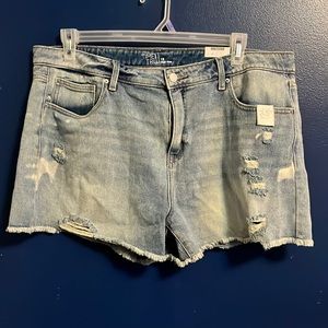 NWT Time and Tru High Rise Shorts